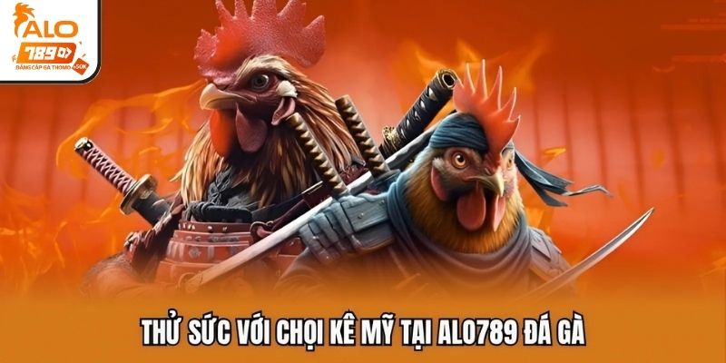 Thử sức với chọi kê mỹ tại ALO789 đá gà