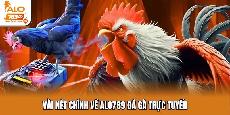 Vài nét chính về ALO789 đá gà trực tuyến