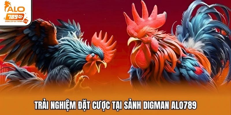 Trải nghiệm đặt cược tại sảnh Digman ALO789