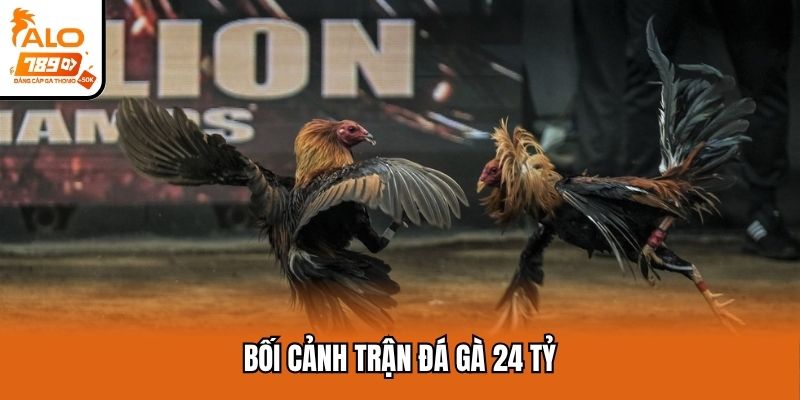 Bối cảnh trận đá gà 24 tỷ
