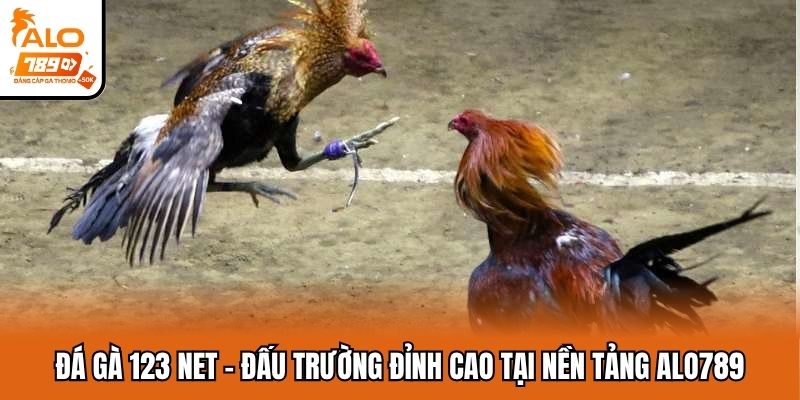 đá gà 123 net
