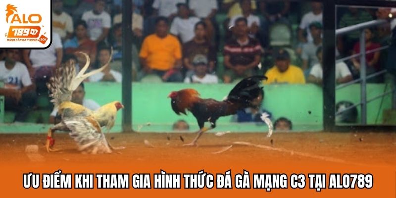 Đá gà mạng C3 với nhiều ưu điểm vượt trội