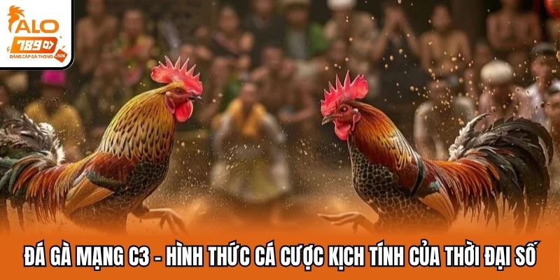 đá gà mạng C3