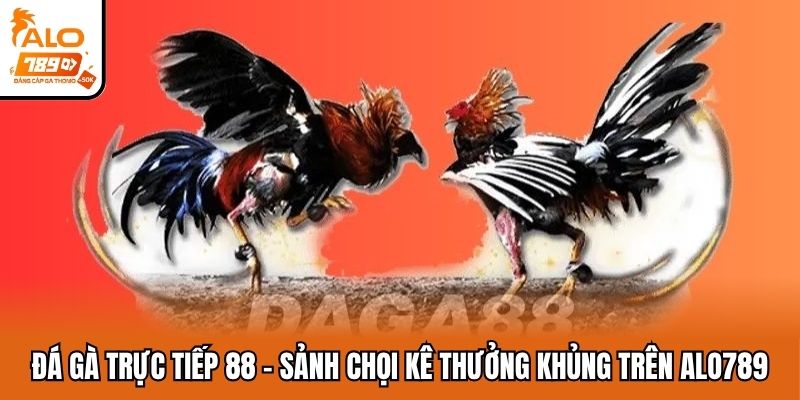 đá gà trực tiếp 88