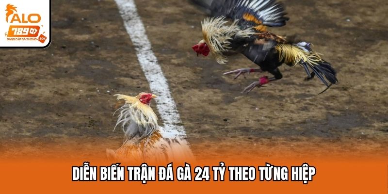Diễn biến trận đá gà 24 tỷ theo từng hiệp