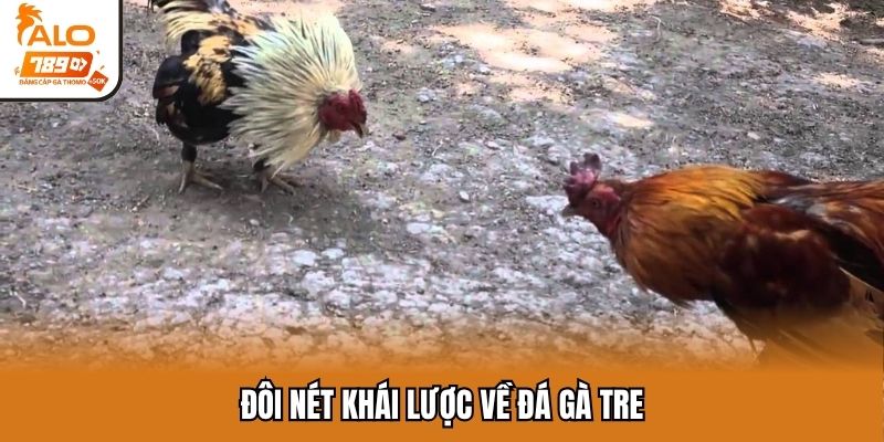 Đôi nét khái lược về đá gà tre
