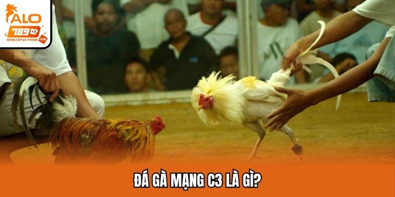 Giải thích về đá gà mạng C3