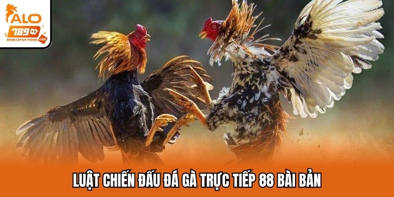 Chi tiết luật chơi đá gà trực tiếp 88 dễ hiểu