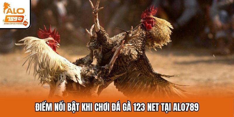 Thế mạnh chỉ có tại sảnh đá gà 123 net