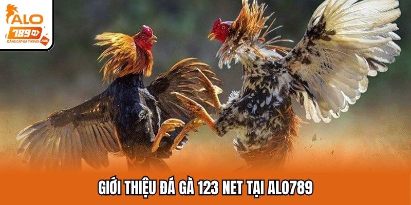 Thông tin tổng quan về đá gà 123 net