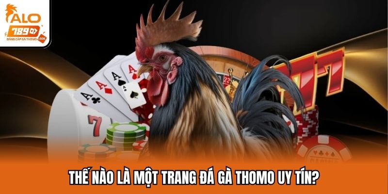 Tiêu chí xác định trang đá gà Thomo uy tín