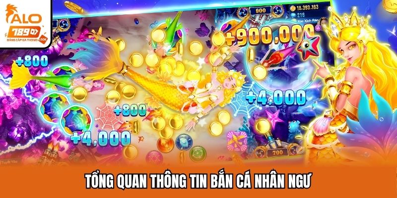 Tổng quan thông tin bắn cá nhân ngư